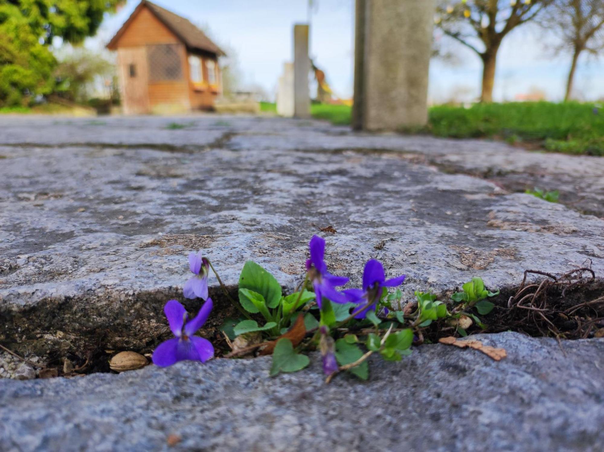Peterseil'S Radl Zimmer Mauthausen Exterior foto